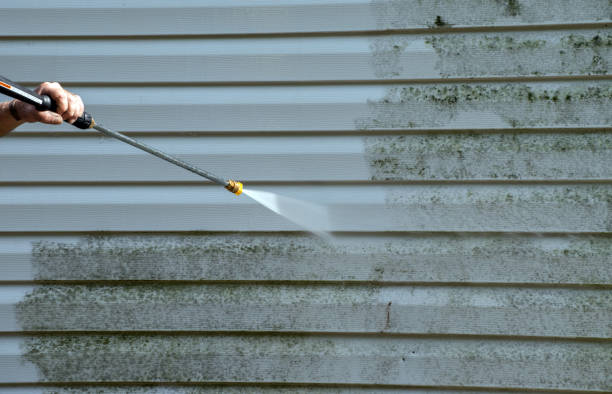 Best Pressure Washing Services for Businesses  in Myrtle Point, OR