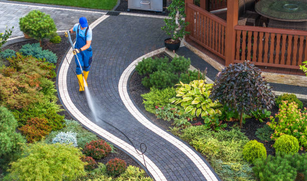 Best Power Washing Near Me  in Myrtle Point, OR