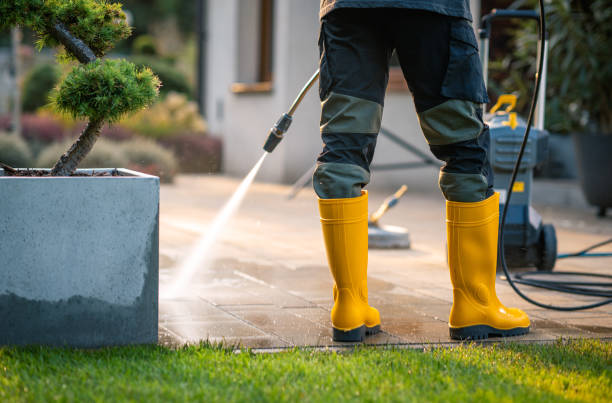Best Commercial Building Pressure Washing  in Myrtle Point, OR